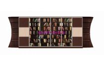 Шкаф-купе Библиотека У 3