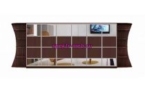 Шкаф-купе Долорес У 4