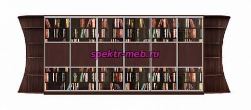 Шкаф-купе Библиотека У 8