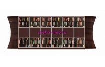 Шкаф-купе Библиотека У 8