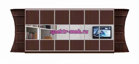 Шкаф-купе Стайн У 2