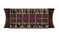 Шкаф-купе Библиотека У 7