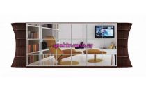 Шкаф-купе Стайн У 3