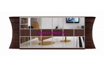 Шкаф-купе Стайн У 1