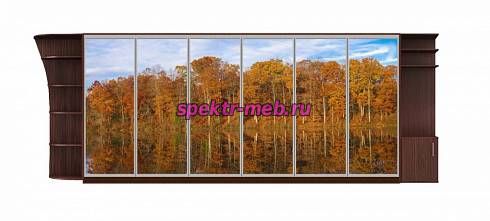 Шкаф-купе Природа 7