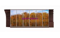 Шкаф-купе Природа 7