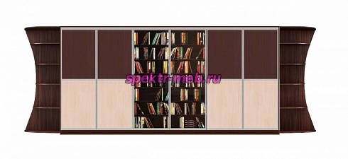 Шкаф-купе Библиотека У 5