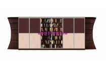 Шкаф-купе Библиотека У 5