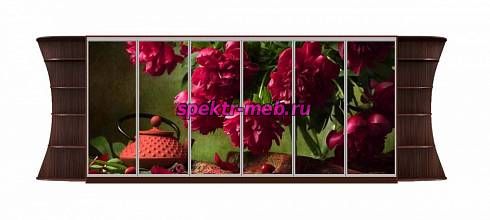 Шкаф-купе Пион 17