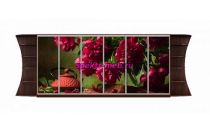 Шкаф-купе Пион 17