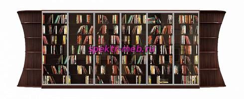 Шкаф-купе Библиотека У 1