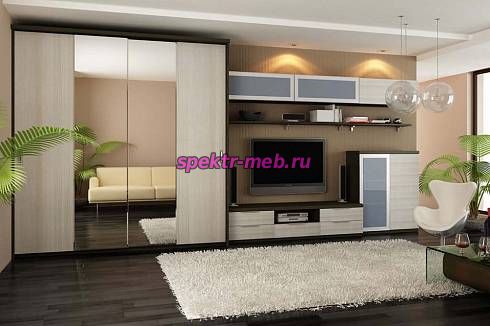 Шкаф купе TV-18