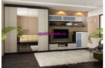 Шкаф купе TV-18