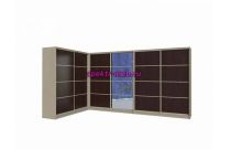 Шкаф-купе Пример 157