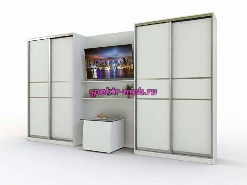 Шкаф-купе Ганг 6