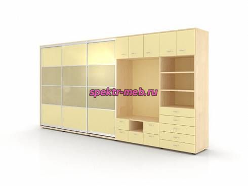 Шкаф-купе Сити 10