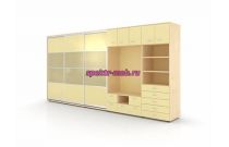 Шкаф-купе Сити 10