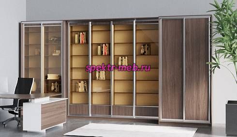 Книжный шкаф-купе Библиотека 2