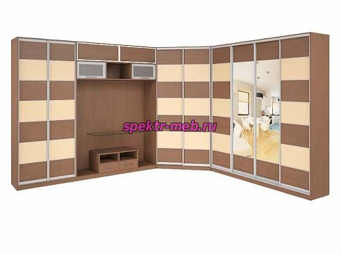 Шкаф-купе TV-21.1