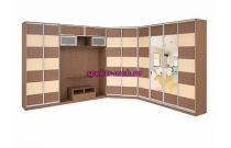 Шкаф-купе TV-21.1