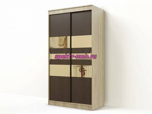 Шкаф-купе Амадеус-13