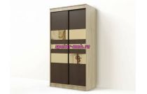 Шкаф-купе Амадеус-13