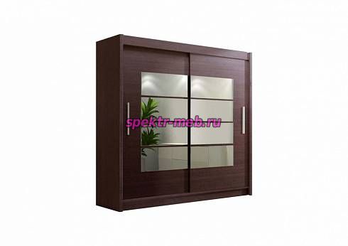 Шкаф-купе Амадеус-5