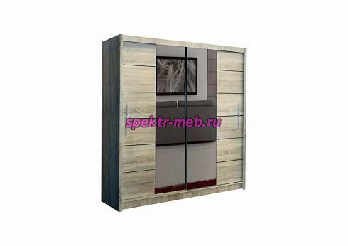 Шкаф-купе Амадеус-6
