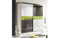 Шкаф-купе Палестина 68