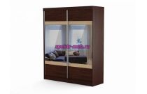 Шкаф-купе ДОМАШНИЙ-4